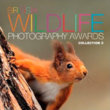 BWPA Collection 3