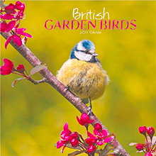 British Garden Birds 2017 Calendar